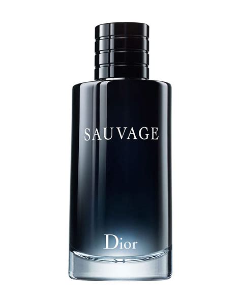 Versace Dylan Blue Vs Dior Sauvage 